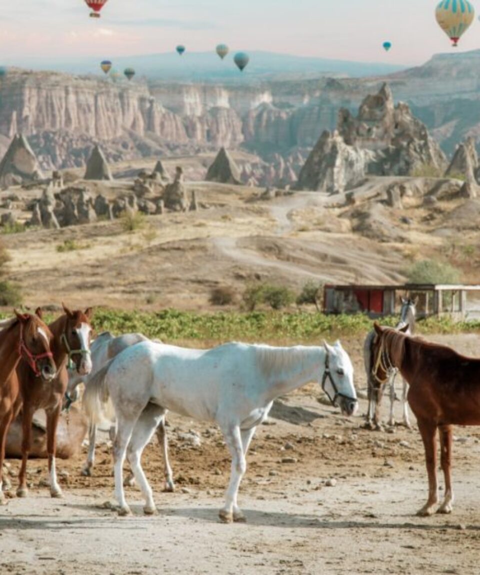 Horse-riding-in-cappadociaa-e1688822524620-800x600